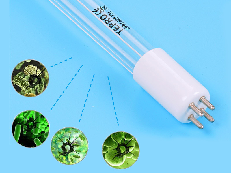 Tepro ultraviolet light bulbs customized for plants-6