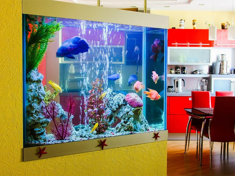 professional uv lamp aquarium conditioning supplier for pools