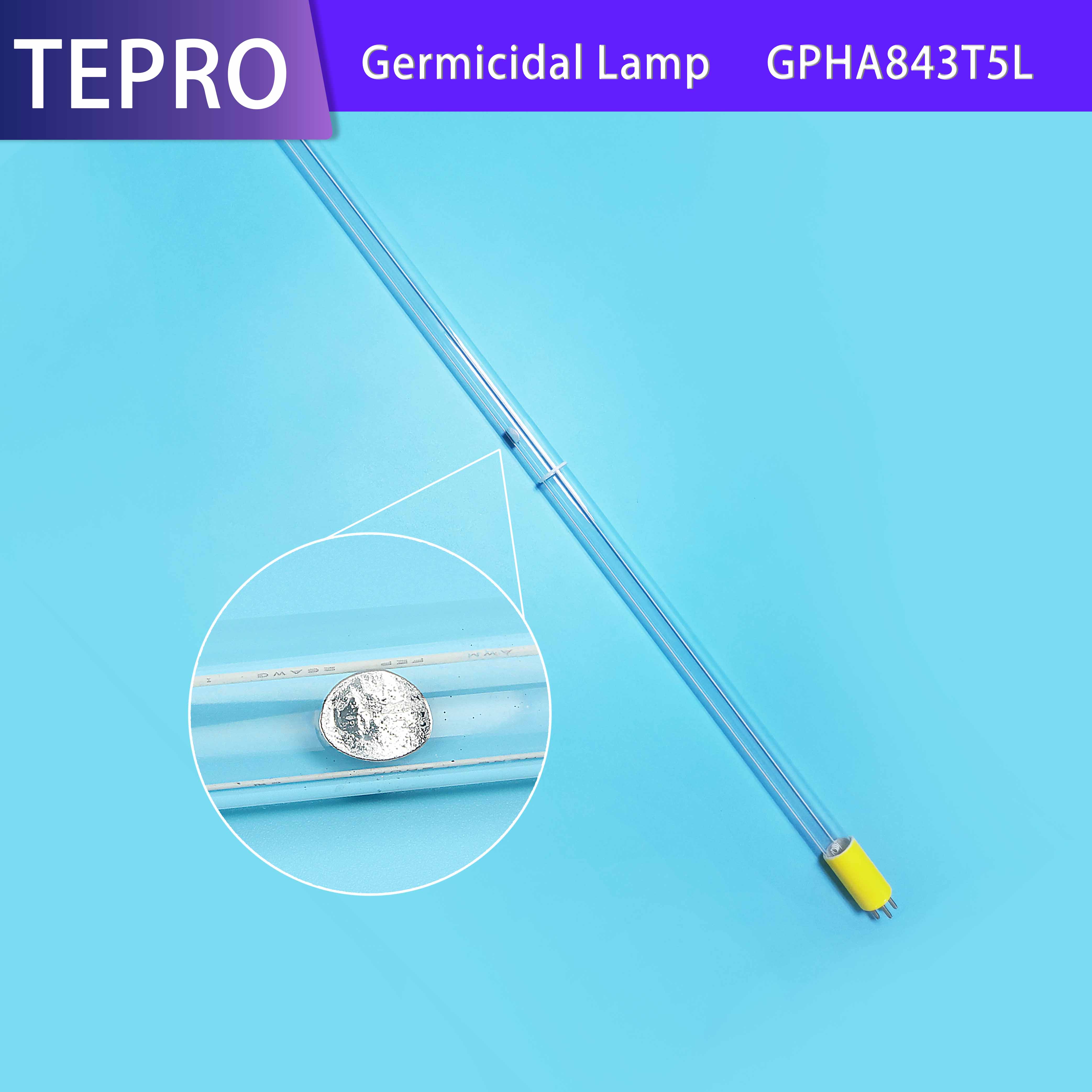 news-Tepro perfect germicidal light bulb factory for hospital-Tepro-img