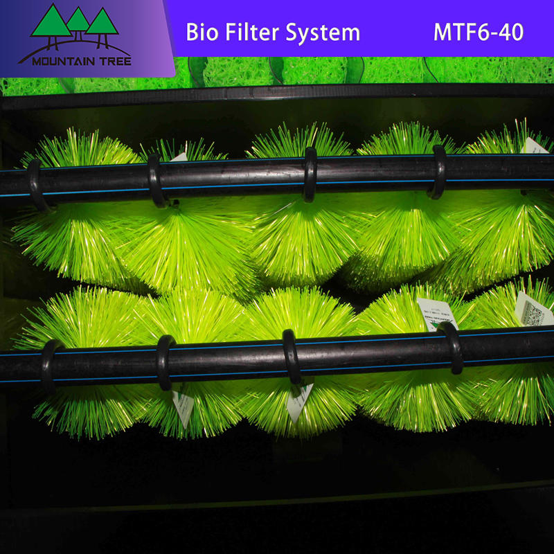 Uv Light Disinfection Bio Filter System MTF6-40