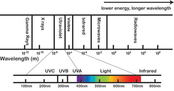 Tepro-The Price Of Ultraviolet Lamp