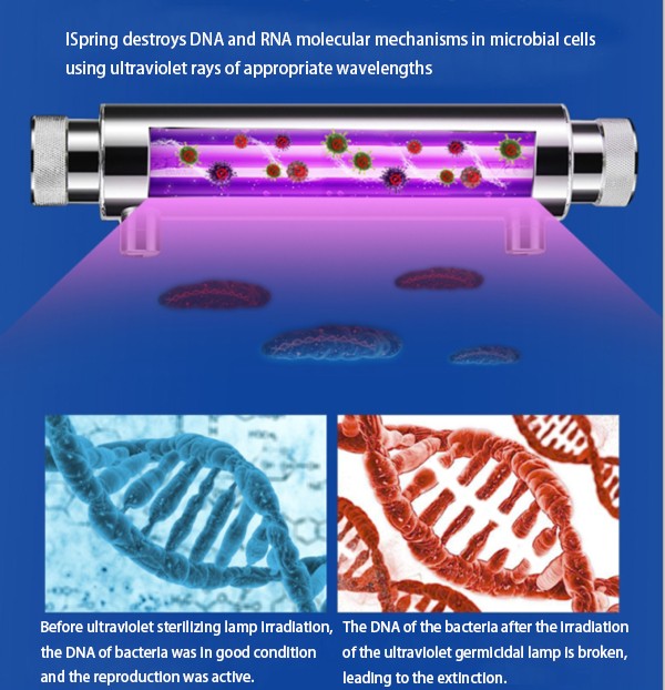 Tepro-Doesthe Ultraviolet Lamp Of The Water Purifier Really Have Bactericidal Effect-1