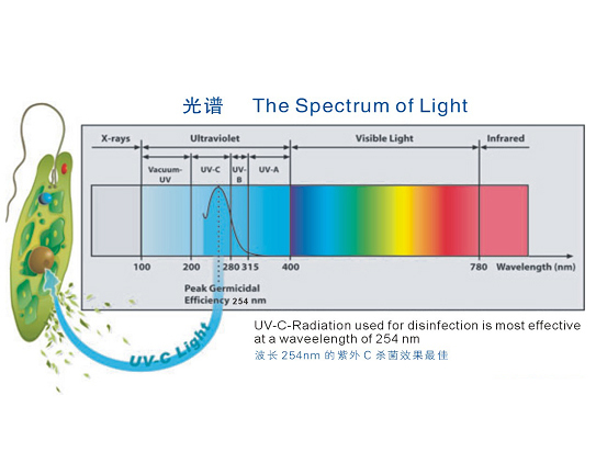 Tepro-Ultraviolet Sterilization Principle, Tepro china Co, Ltd