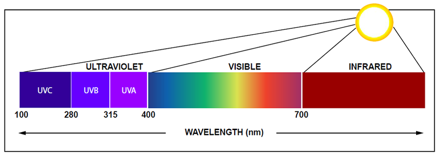 uv light sterilizer