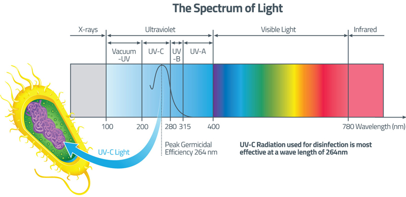 news-The Ultraviolet Length Of The Sterilizer Is Divided Into Several Levels-Tepro-img