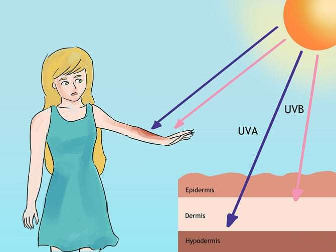 news-Tepro-The Ultraviolet Length Of The Sterilizer Is Divided Into Several Levels-img